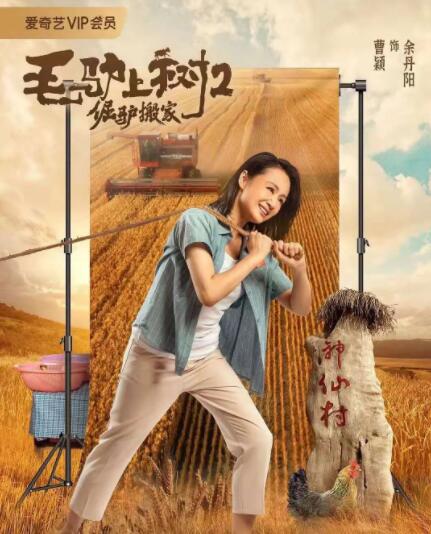 欧美一区中文字幕